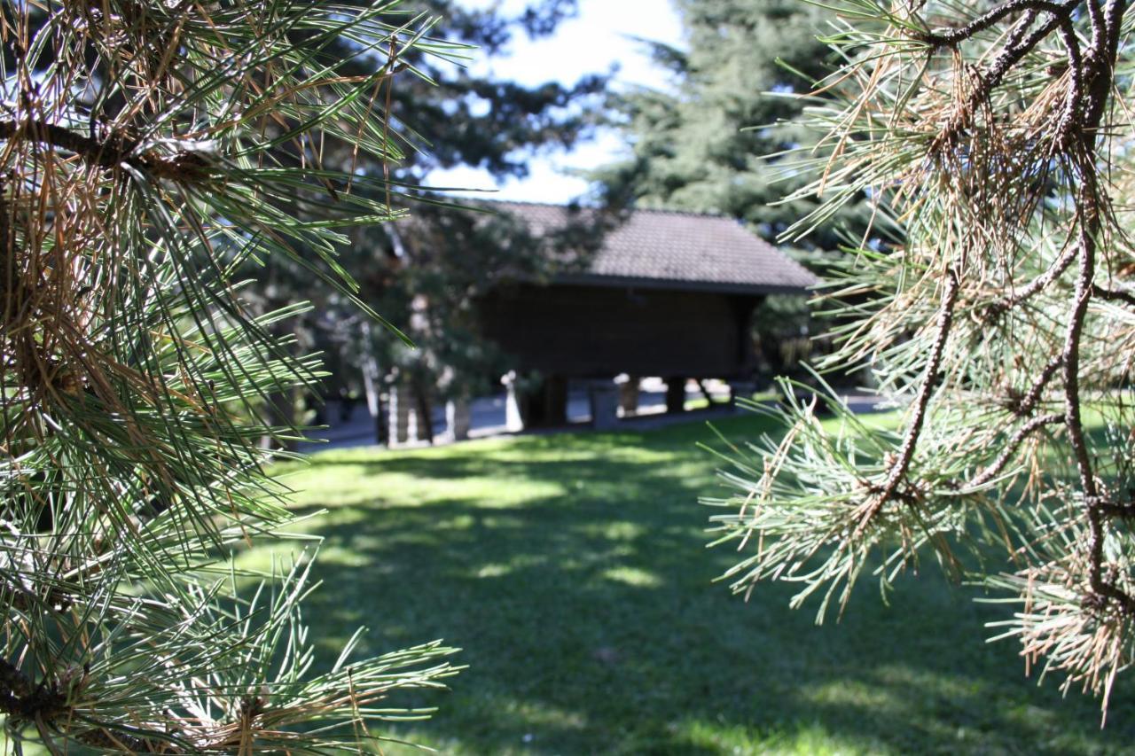 Hotel Village 3*