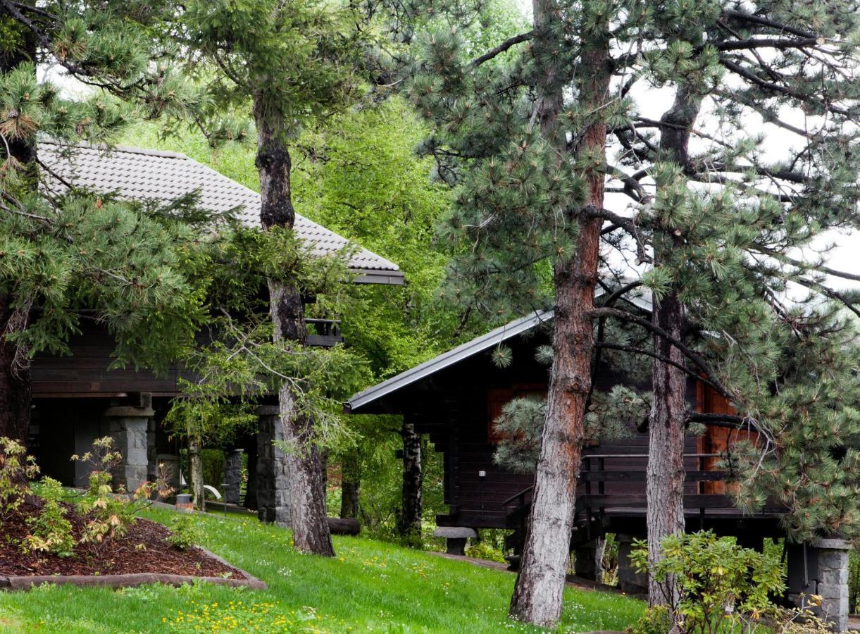 Hotel Village 3*